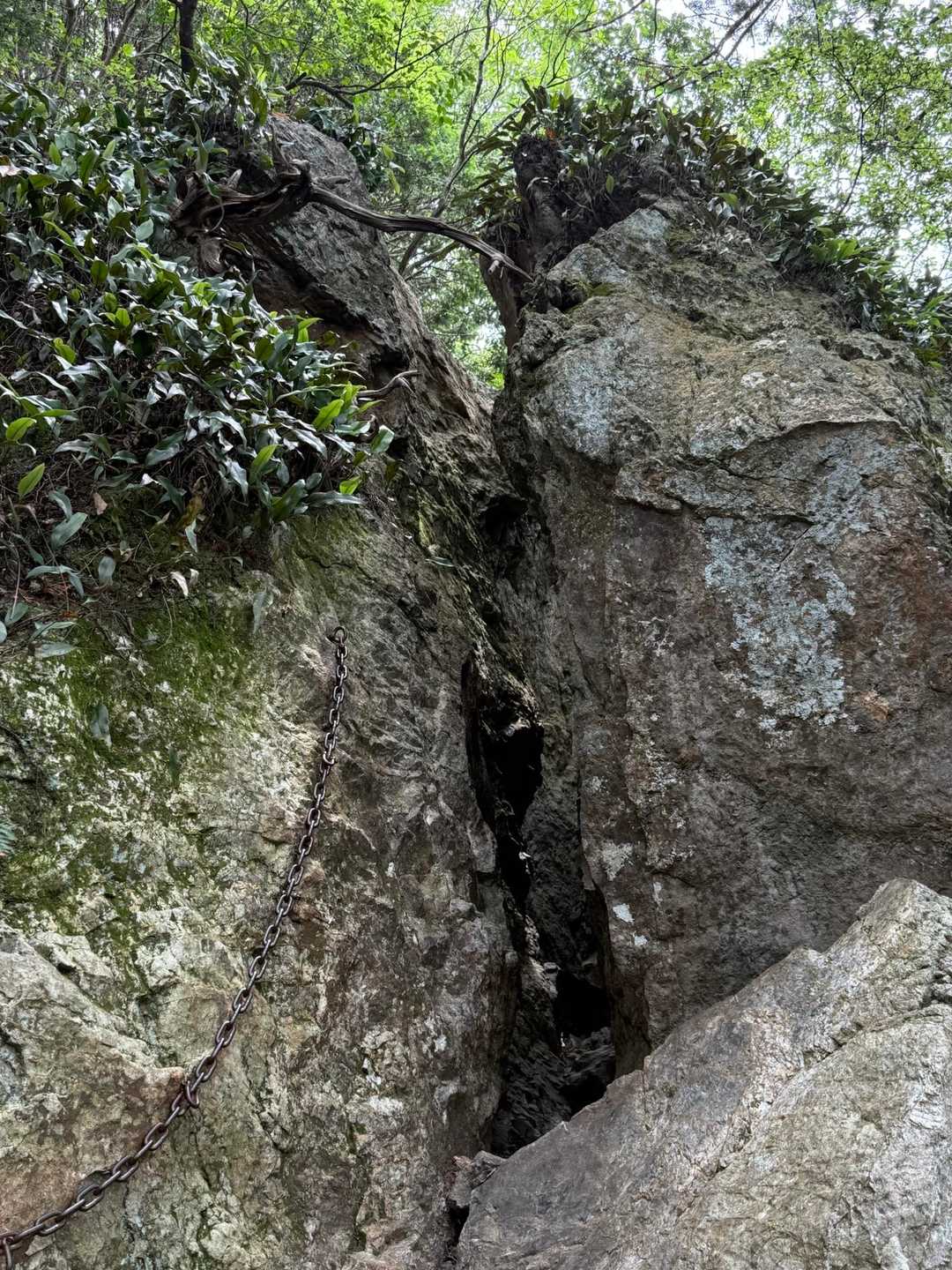 三上山登山道入口-三上山 周回コースの写真