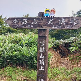 ぬいさんと山頂