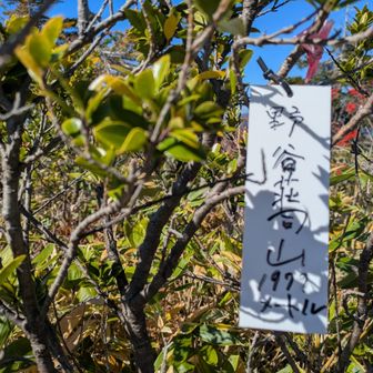 野谷荘司山⛰️ピークです🙌