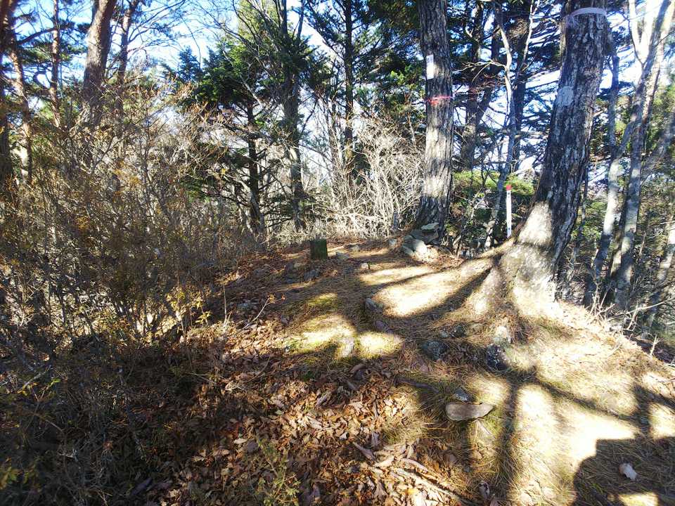 トンネルは有名だけど、山は有名じゃない三才山▲地味～(-.-)