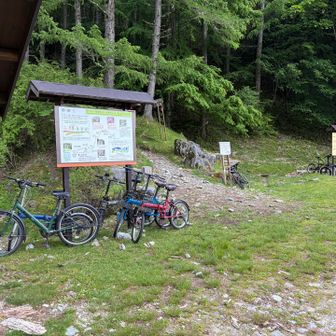 林道は自転車でも走れる整備状態で、終点には日帰りの方々のミニベロが多数