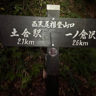 白毛門駐車場から20分
