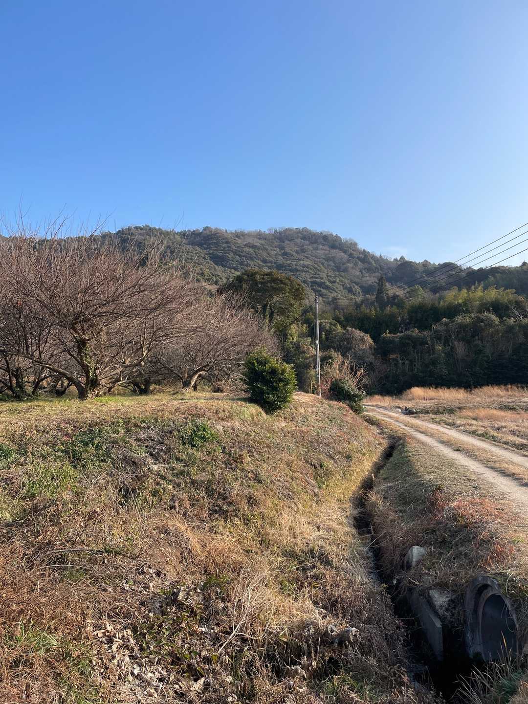 赤崎神社-小浜山登山入口-小浜山-赤崎登山口 周回コースの写真