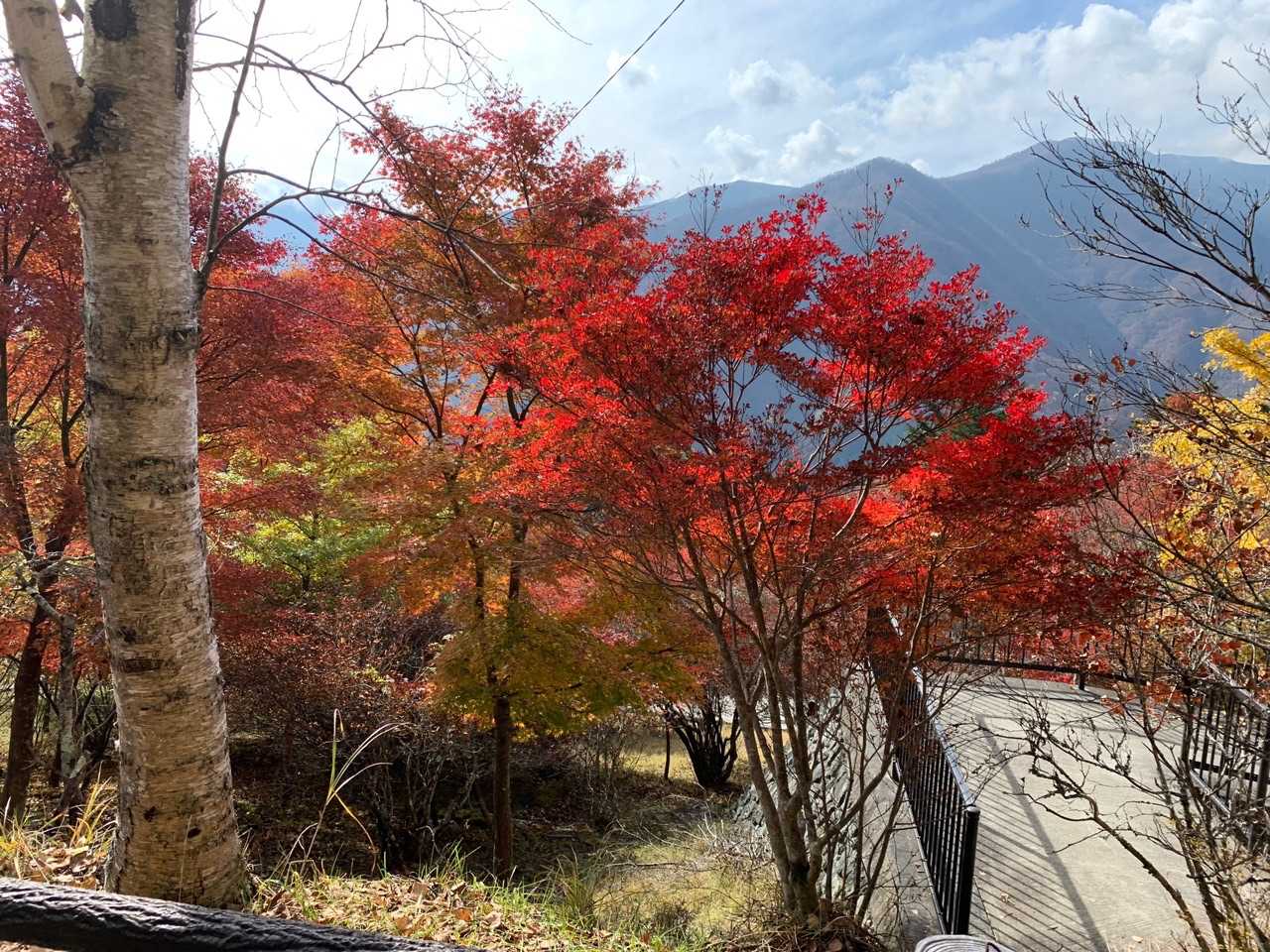 大輪バス停-妙法ヶ岳 縦走コースの写真