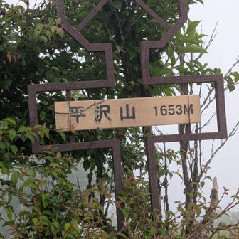 平沢山山頂とうちやこ🙌