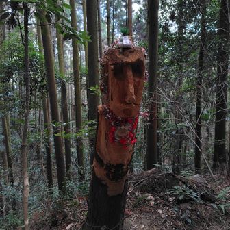 正月バージョンらしい