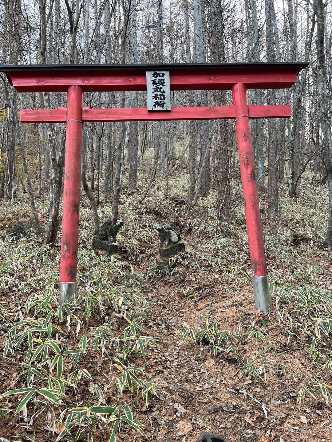 鳥居が多いです