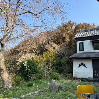 座ったテラス席からの眺め（右は蔵？）