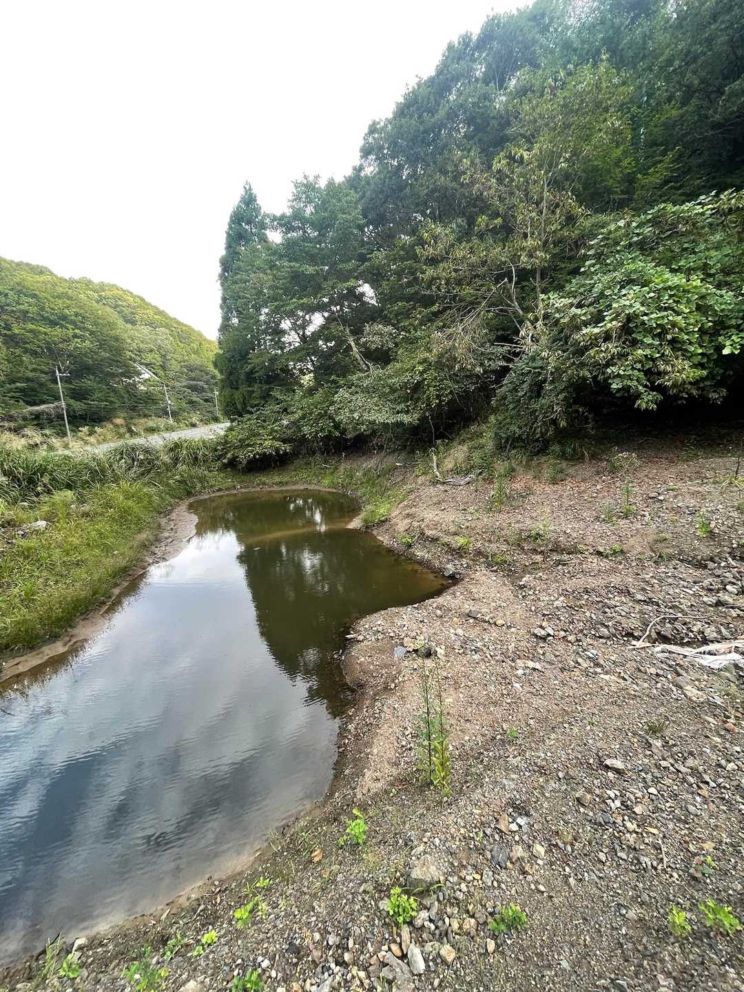 こっちやったか😩