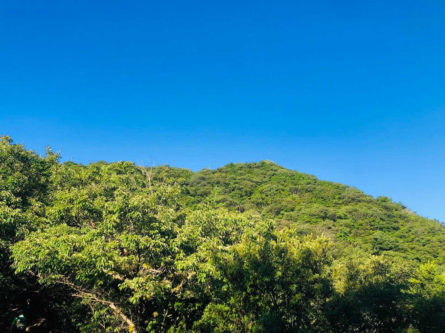冷凍パウチが速攻で溶けそうな快晴💦
あっつ🥵