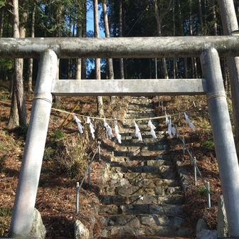 奥沢神社⛩️🙏