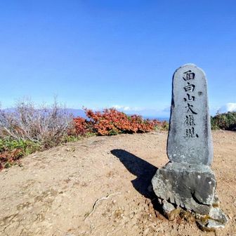 ここにも大権現