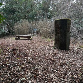天測点さん、バイバイ👋