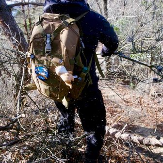 昨日の強風で倒れたのか、倒木がたくさんあったので、隼神様が整備してくれます🙏🏻

高ぶるカワウソ👏🏻