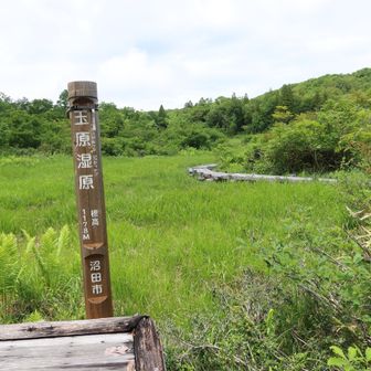 道標もあったのね