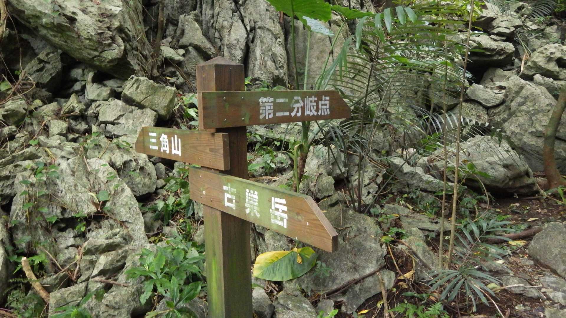 第一分岐着。
頂上では風も吹いていて、気温も14℃でした。沖縄では結構寒いほうです。