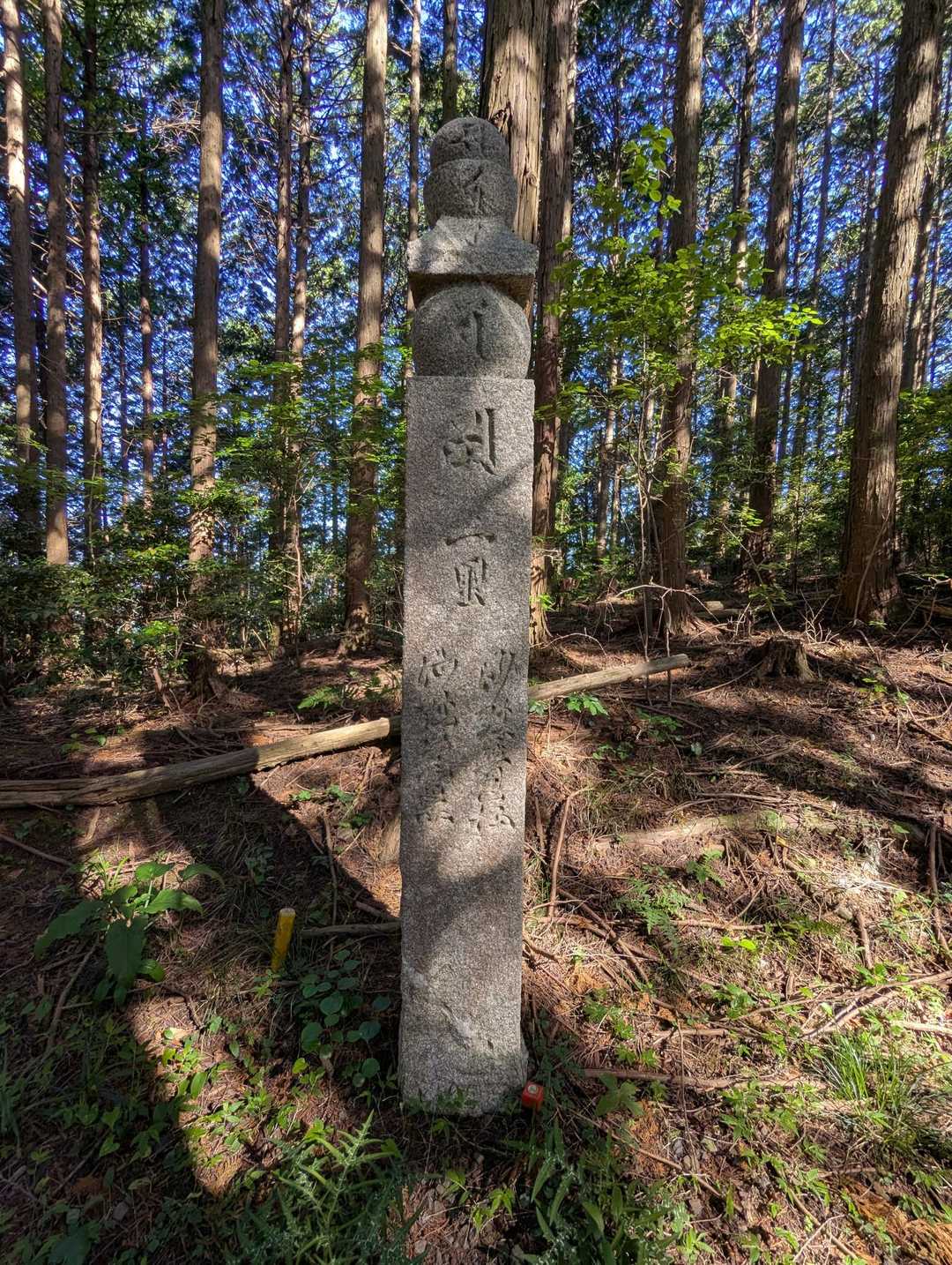 今日は町石カウントダウン頑張るぞ〜！💪と意気揚々スタートしたのですが、160くらいでわからなくなり、じゃあせめて里石ならいけるか？🤔と撮った一里石😁　結果は言わずもがな🤣