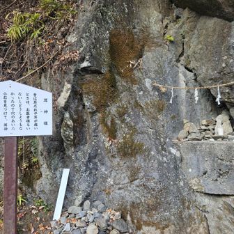 耳が良くなります。“歯”を探したけどなかったナ。あとでGETした地図には“歯”の神様を祭る祠はあった。