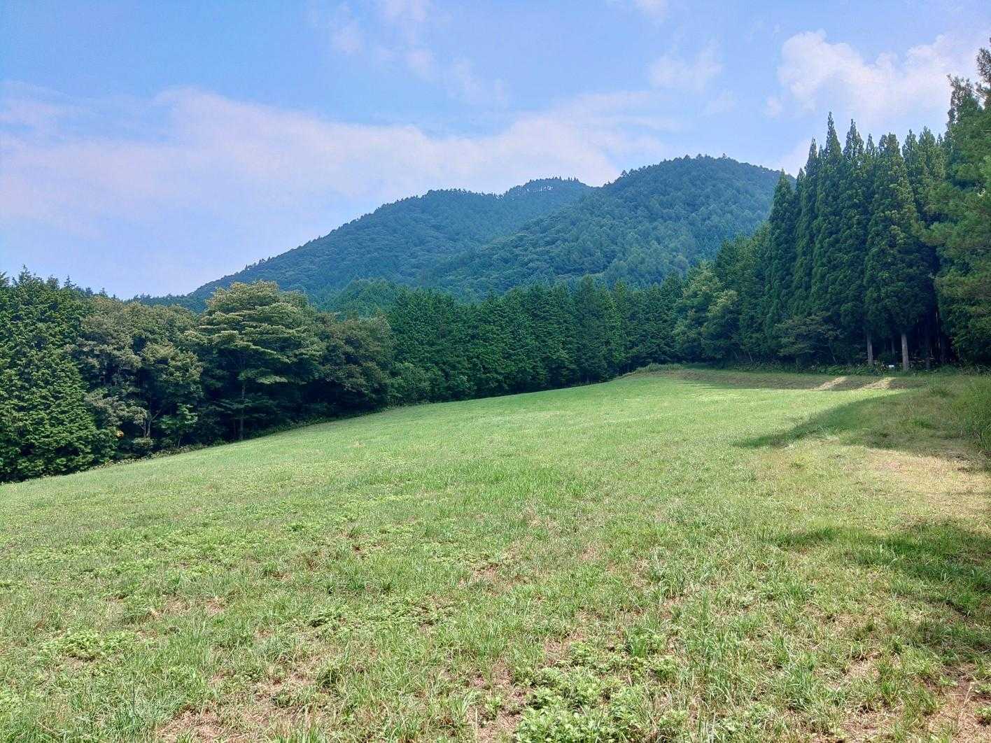 💚