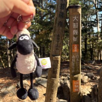 大菩薩嶺の山頂到着！