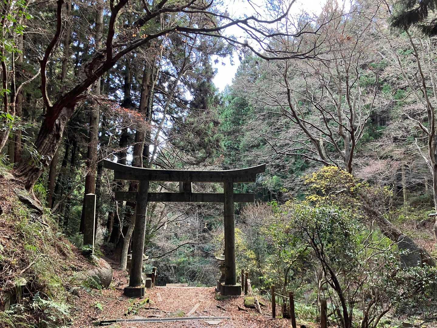 無事に下山。
今日もありがとうございました。
