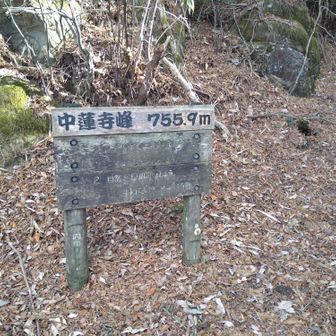 中蓮寺峰