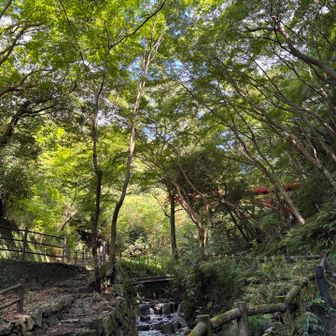 自然豊かな枚岡公園