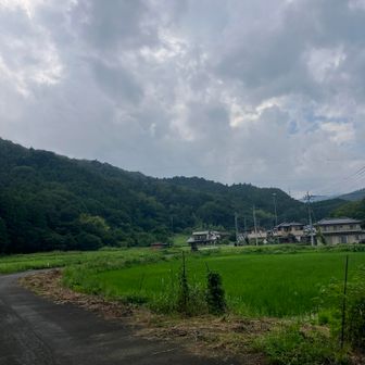 曇っているけど、いい景色