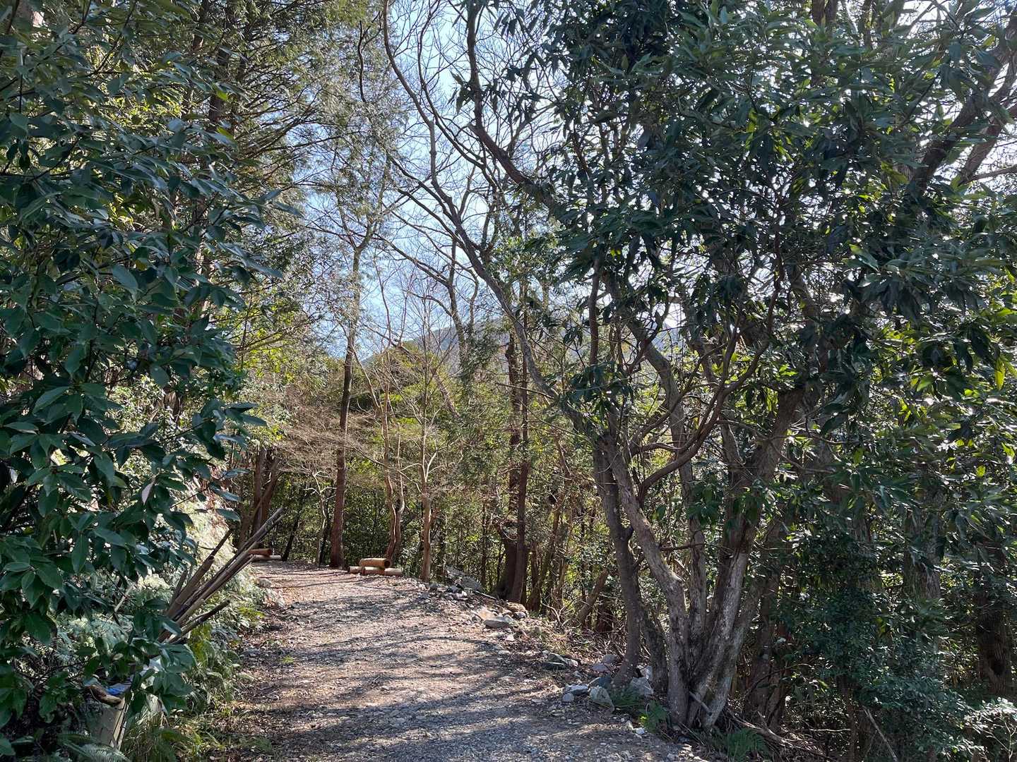 登山口到着
とても楽しい観察会でした