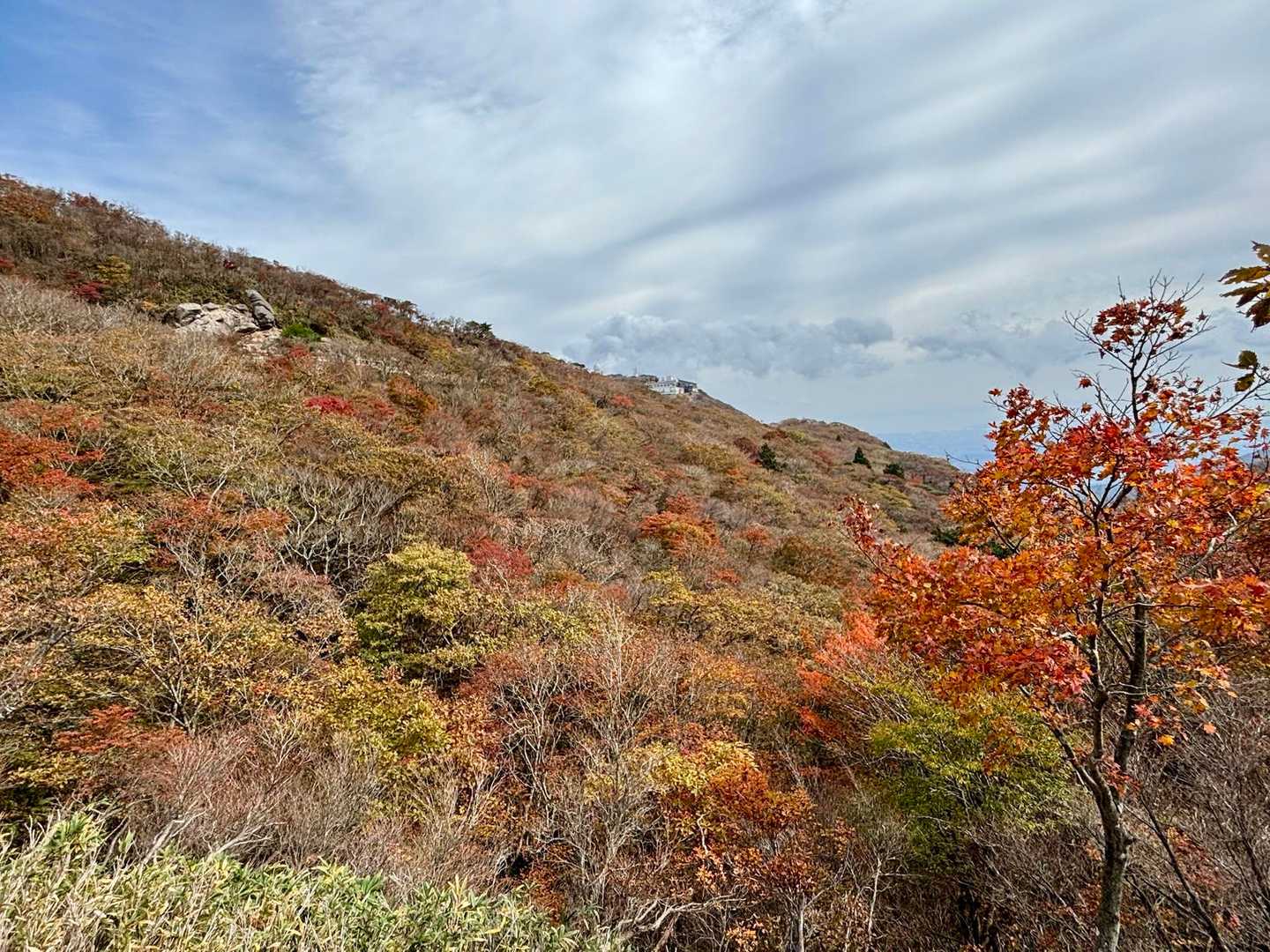 ロープウェイ駅付近の紅葉🍁は終わりがけかなぁ…
ここは、もうちょっと早かったらもっと色鮮やかだったかも…