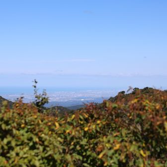 山頂の北側は木々に覆われ眺望はイマイチでし
た。