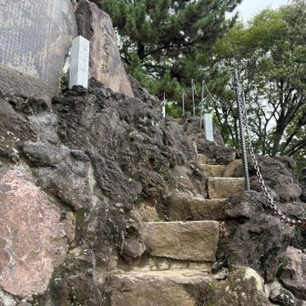 『品川神社富士塚』に登る
こちらも滑落しないように気合い入れて一生懸命登る💦