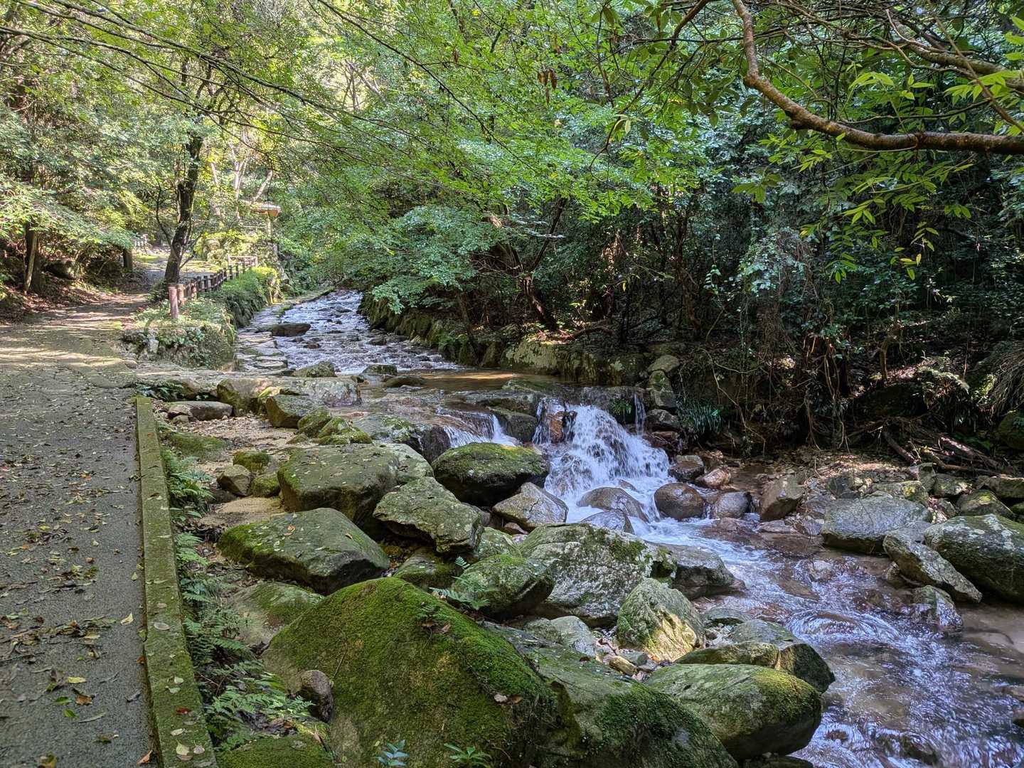 鳥栖側の登山口よりスタート。美しい渓流に沿い歩きます
