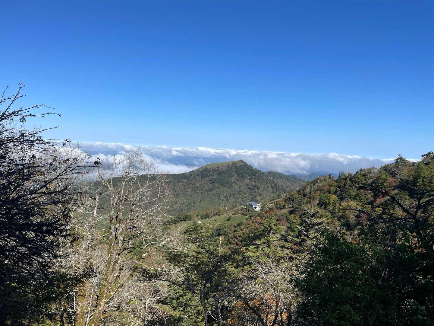 丸笹山