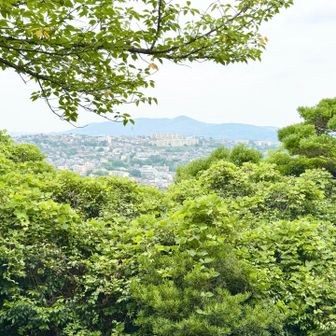 山頂を囲む木々の隙間から
戸畑の街並みや若松方面が見渡せる