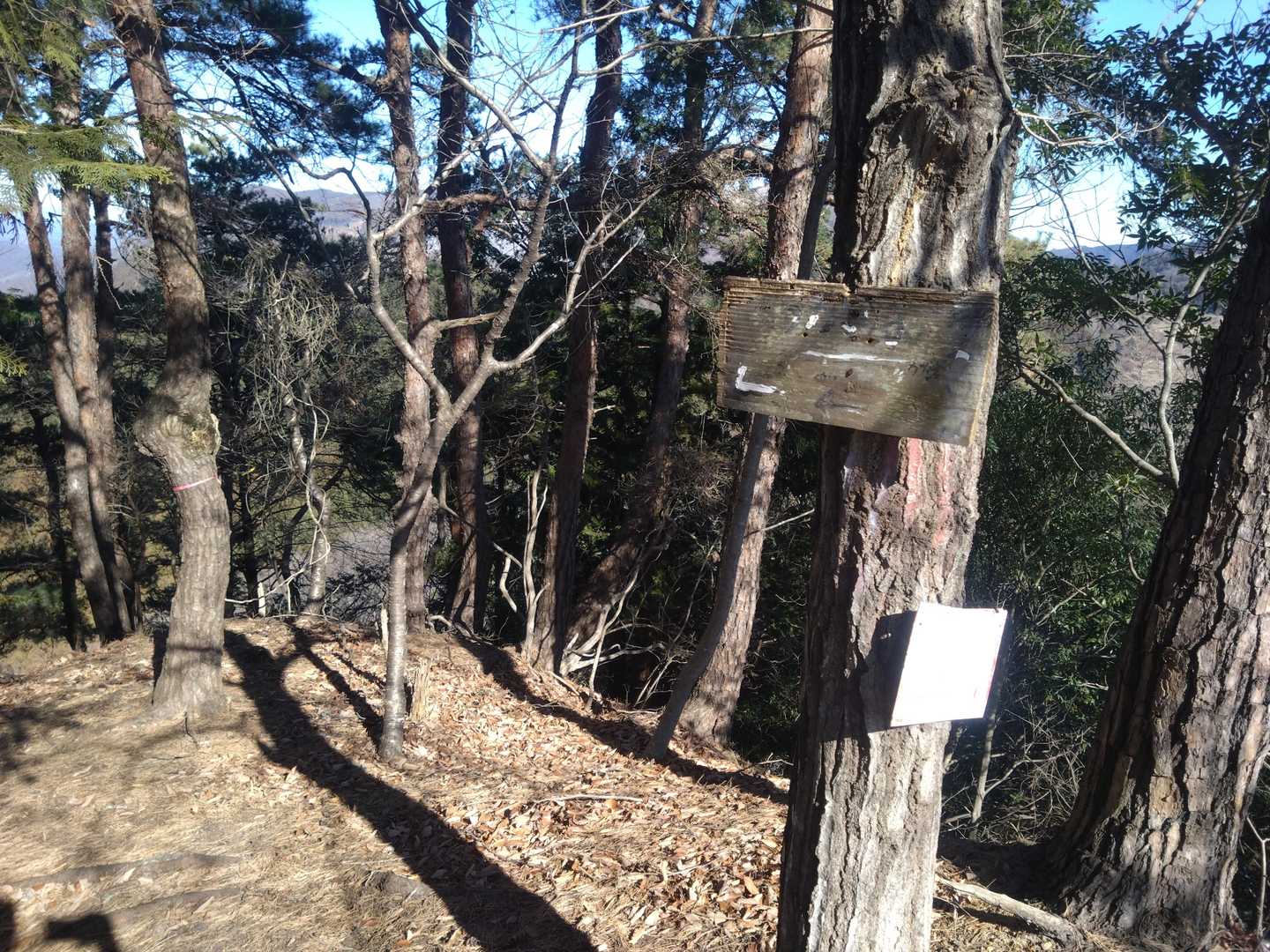 奥の周回ルートへ