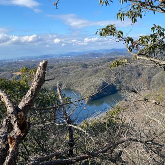 こっちの方がよりハートかな❤️