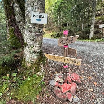 出発です。
まずは長衛小屋へ
ずっと「長兵衛（ちょうべえ）」と言っていた…
正しくは「長衛（ちょうえい）」でした𓄹𓄺

イタタタタ…