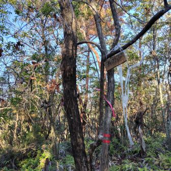 人も熊もなにもいなかった