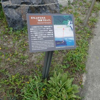 明戸浜の震災遺構（打ち上げられた消波ブロック）の説明