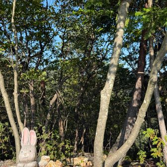 長良山に到着うさぎの木彫りが有ります