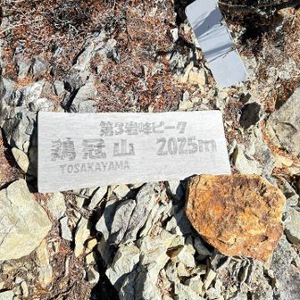 山頂標識