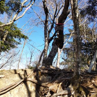 毛無山最高地点到着