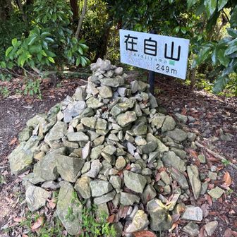 あらじ山到着

石は嵐ファンがきっと笑笑

皆んなの心に居るからね❤️

嵐の歌を歌いながら登ったよ🤥

夏といえば

https://youtu.be/lJ7eP7ix9-g?si=Ob4nSn-stdcaB5k3

透明少女　ナンバーガール
