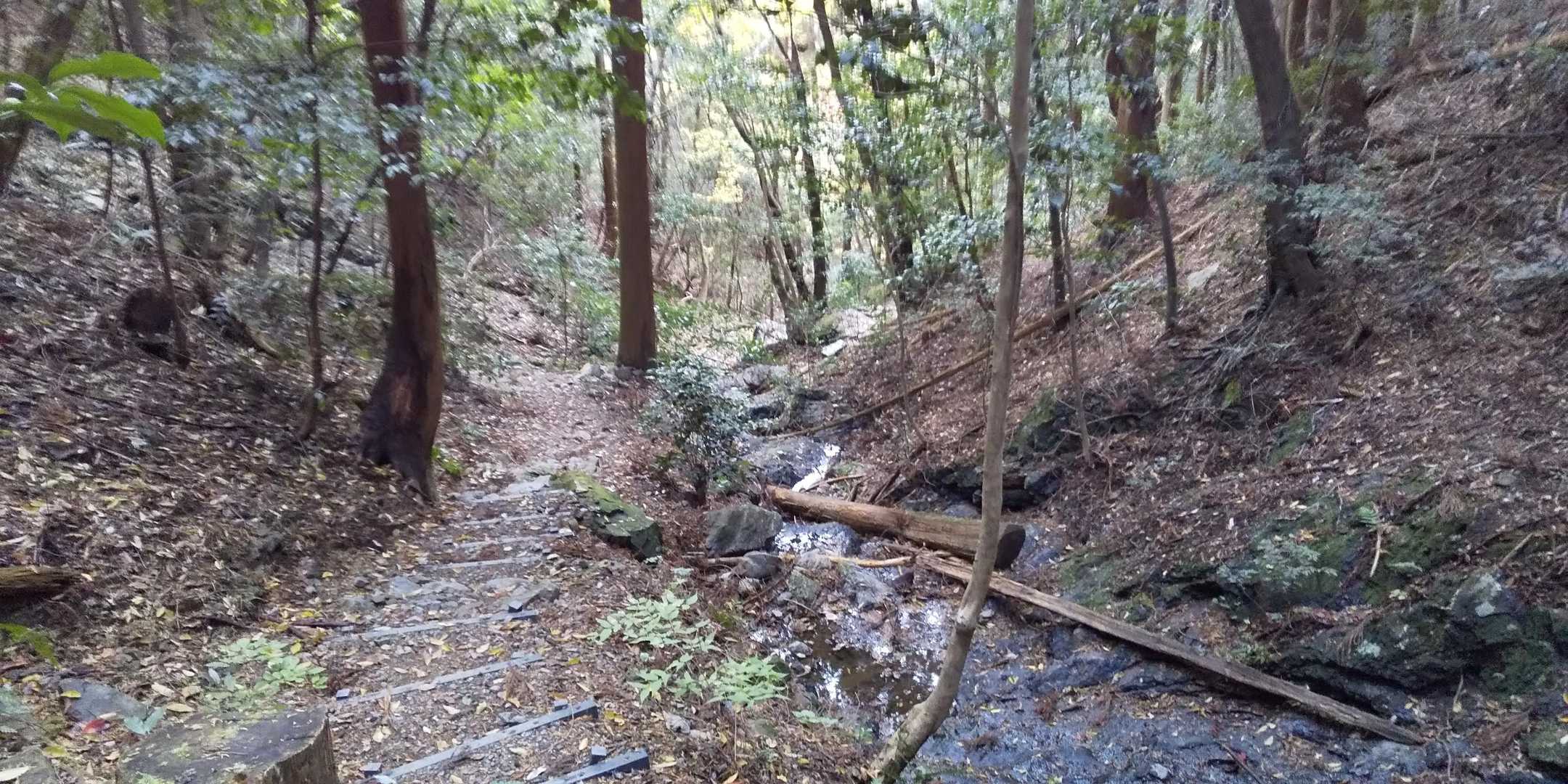 谷に出合うとそのまま谷沿いを下っていく。今日はこの天気なので出会ったのは1組だけ。