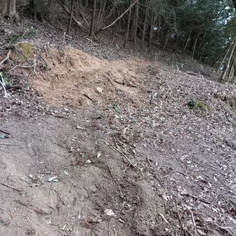近々シャクナゲを並べて植えられるそうです🌸