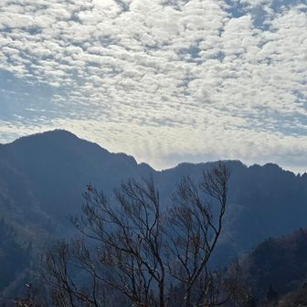 ギザギザの鋸岳が見えます😲