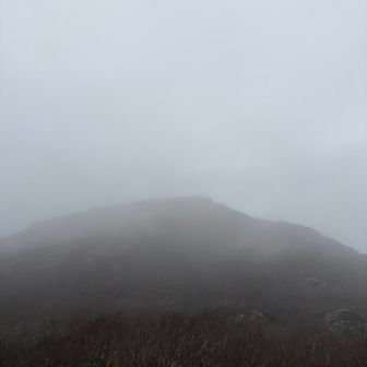 山頂はガスっちゃったなー