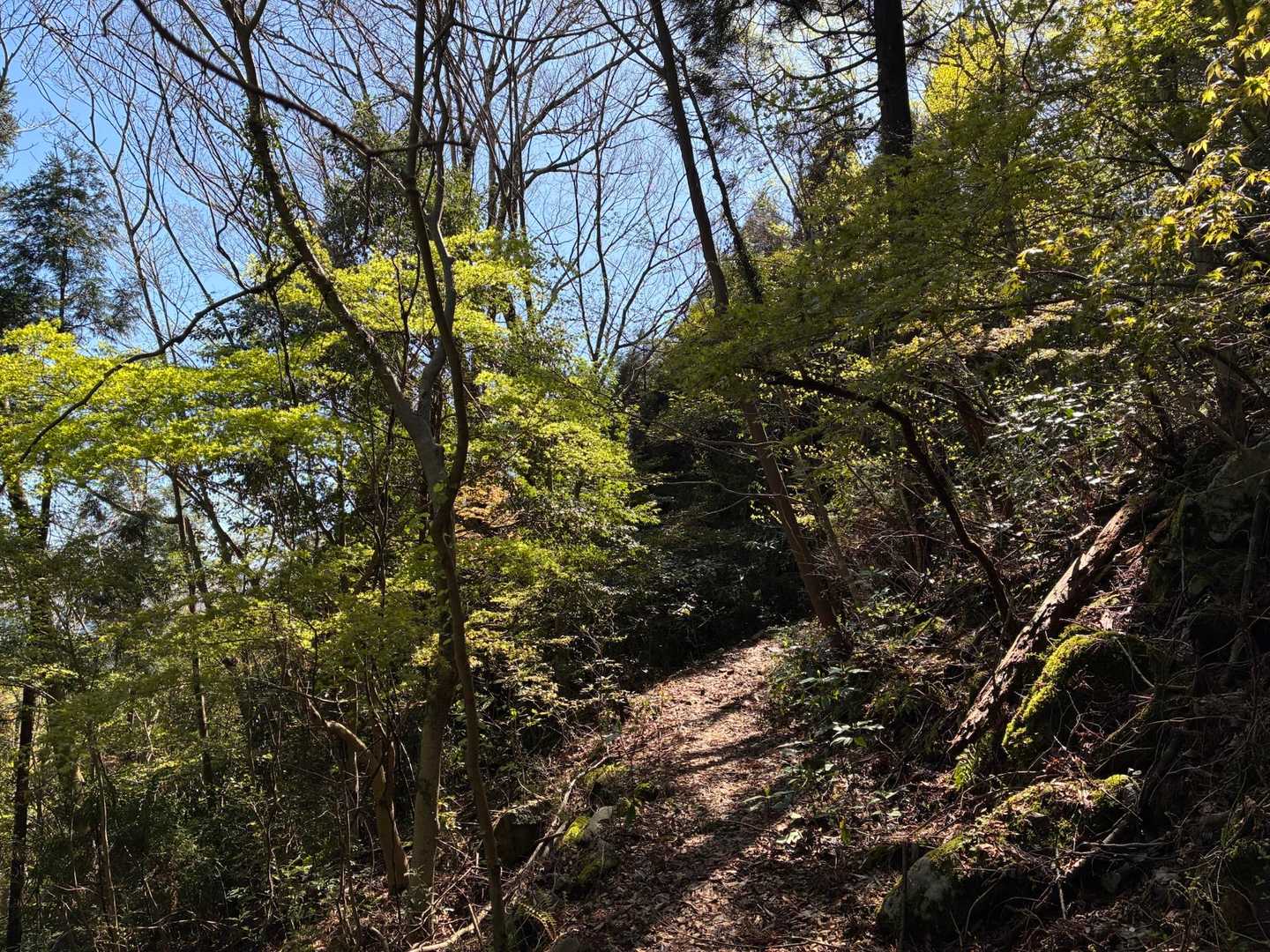九十九折りで登るのでキツくない😙