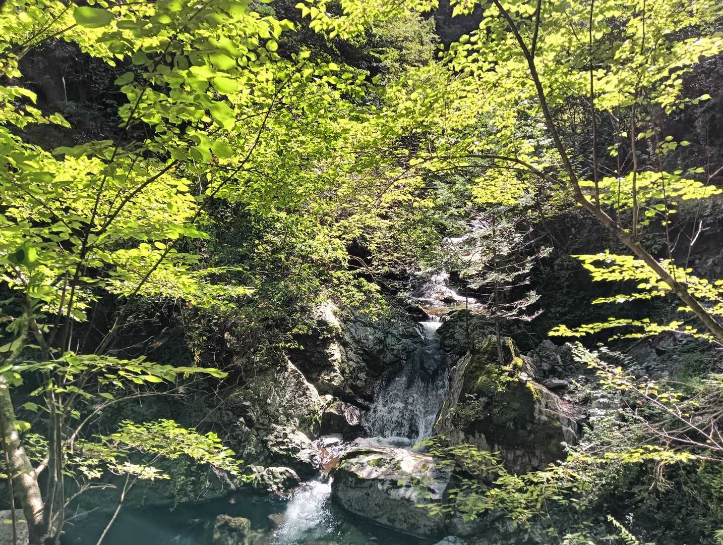 耳を澄まして滝音を楽しみます